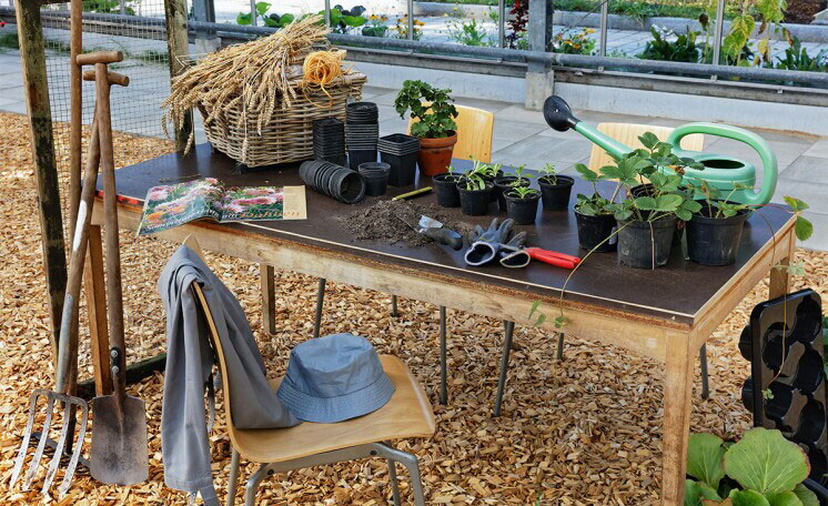 gartentherapie.jpg gartentherapie.jpg