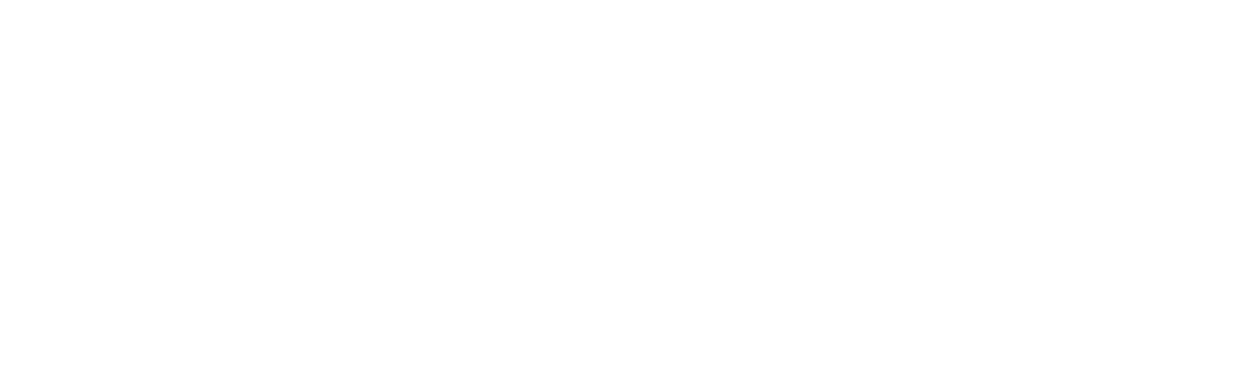 logo_hirschmann_neu