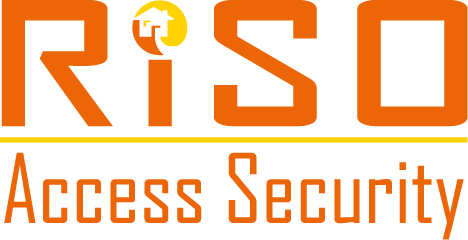 Logo:RiSO GmbH