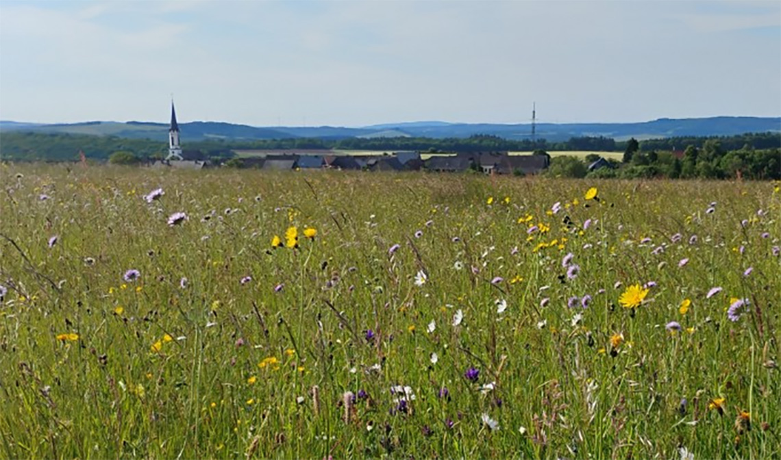 Die Landwirtschaftskammer Rheinland-Pfalz