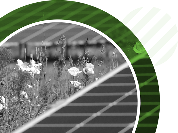 WES Green GmbH